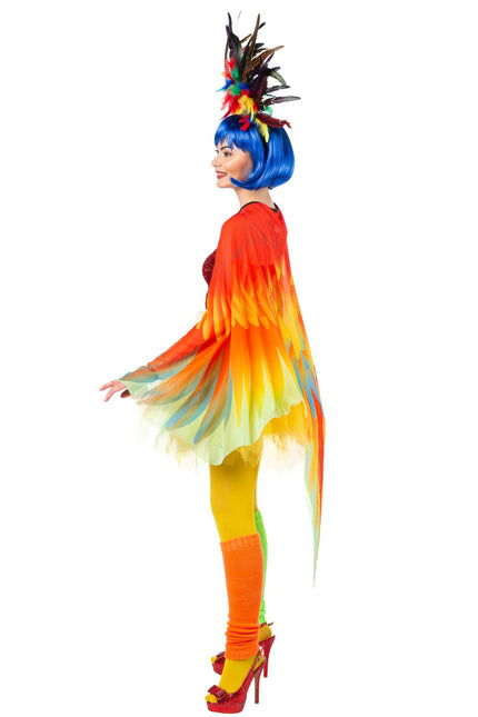 Papegaai Cape Gekleurd