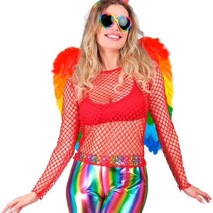 VEREN VLEUGELS REGENBOOG OPVOUWBAAR 50 X 50 CM