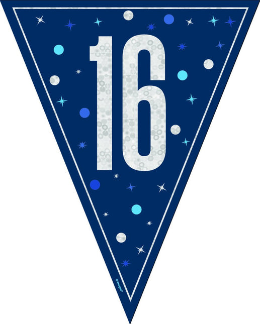 16 Jaar Slinger Blauw 2,5m van Unique koop je bij Partywinkel