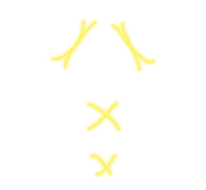 Halloween Masker Spook