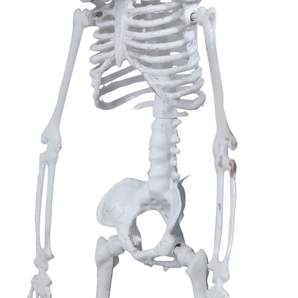 Halloween Hangdecoratie Skelet 40cm