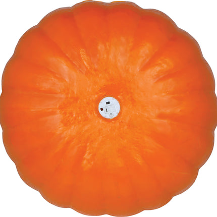 Halloween Pompoen Met Licht 45cm