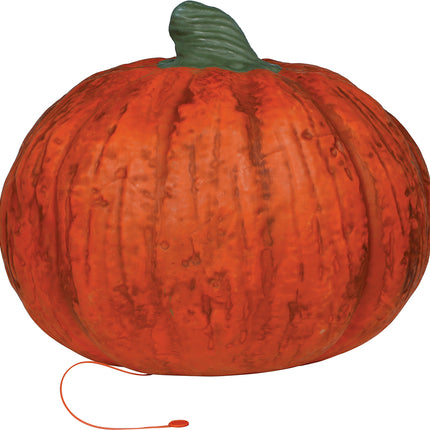 Halloween Pompoen Met Licht 38cm