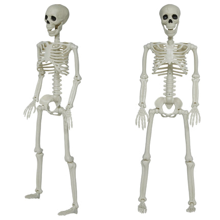 Halloween Skelet Beweegbaar
