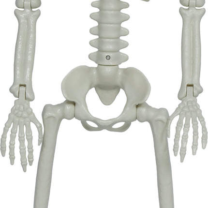 Halloween Skelet Beweegbaar