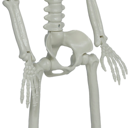 Halloween Skelet Beweegbaar