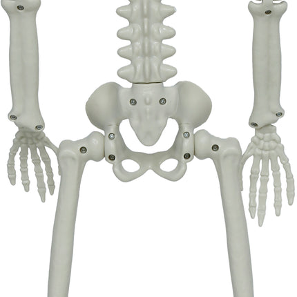 Halloween Skelet Beweegbaar