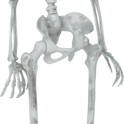 Halloween Skelet Beweegbaar 1,4m