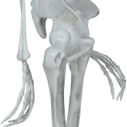 Halloween Skelet Beweegbaar 1,4m