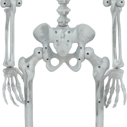 Halloween Skelet Beweegbaar 1,4m