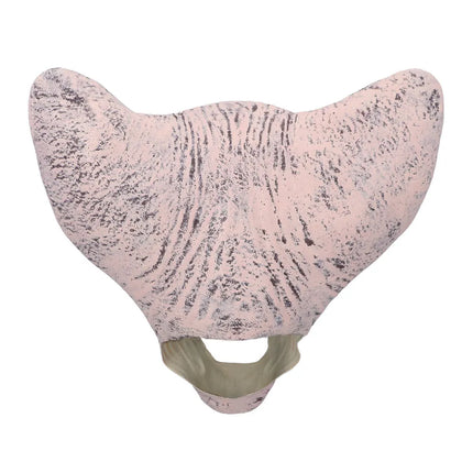 Latex hoofdmasker Horror cat