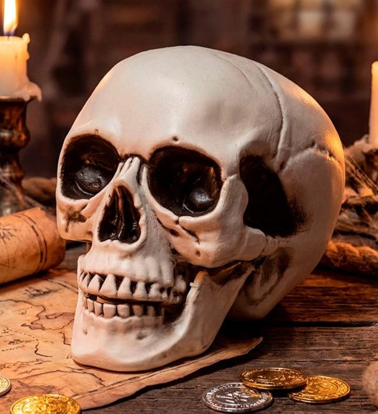Halloween Schedel met Beweegbare Kaak
