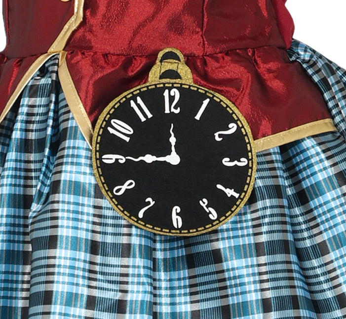 Hoedenmaker Kostuum Kind