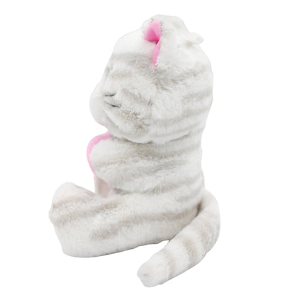 Kat Ballon Gewicht Knuffel 170gr