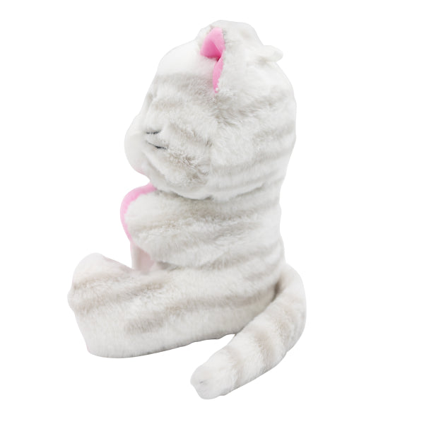 Kat Ballon Gewicht Knuffel 170gr