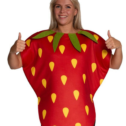 Aardbei Kostuum Rood
