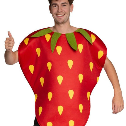 Aardbei Kostuum Rood