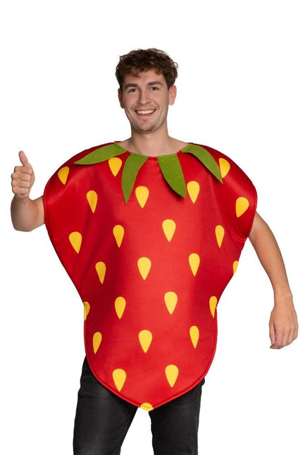 Aardbei Kostuum Rood