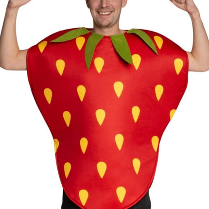 Aardbei Kostuum Rood