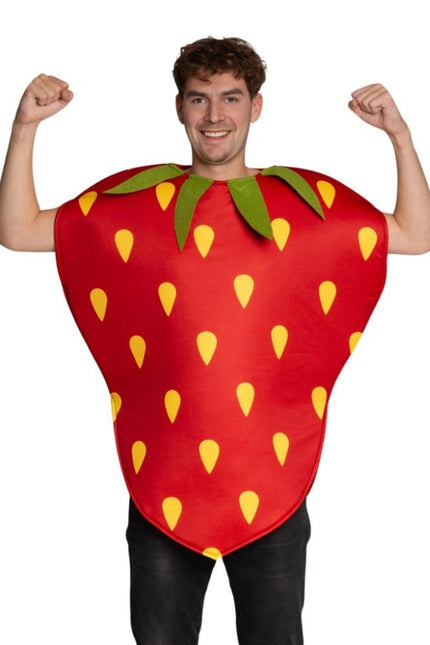Aardbei Kostuum Rood