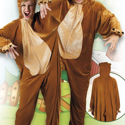 Berenpak van Boland koop je bij Partywinkel