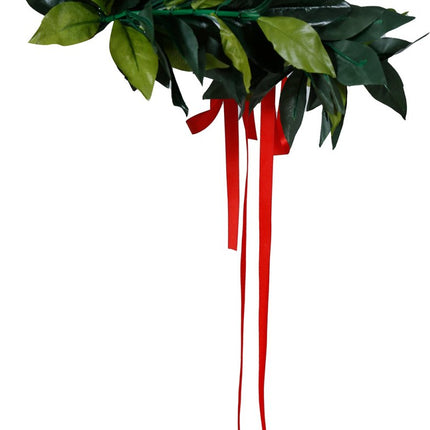 Bladeren Hoofdband van Fiestas Guirca koop je bij Partywinkel