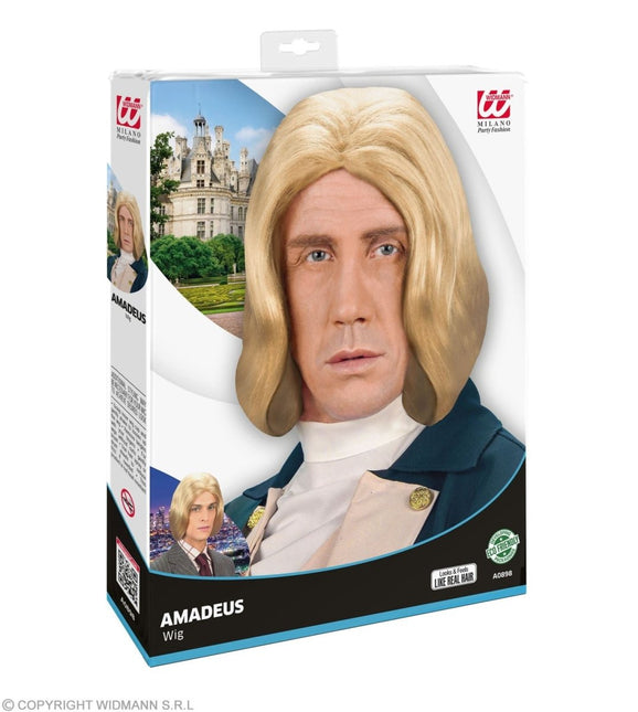 Blonde Pruik Lakei van Widmann koop je bij Partywinkel