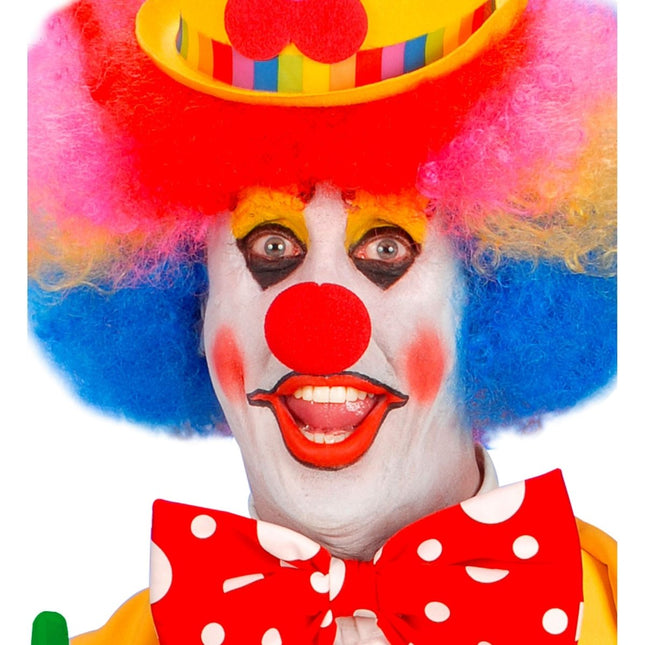 Clownsneus van Widmann koop je bij Partywinkel