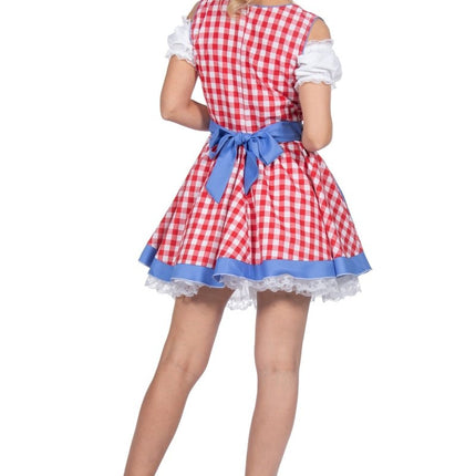Rood Wit Blauwe Dirndl Jurk Oktoberfest Dames Geblokt 2 delig van Wilbers & Wilbers koop je bij Partywinkel