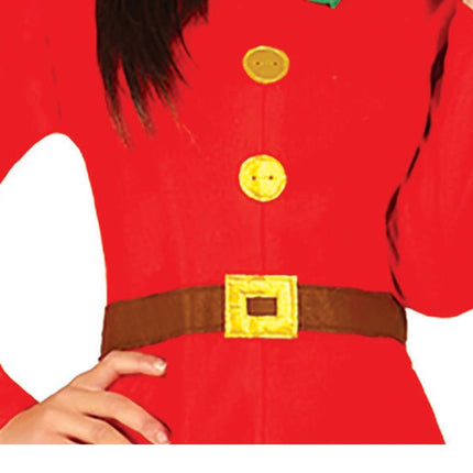 Elfen Jurk van Fiestas Guirca koop je bij Partywinkel