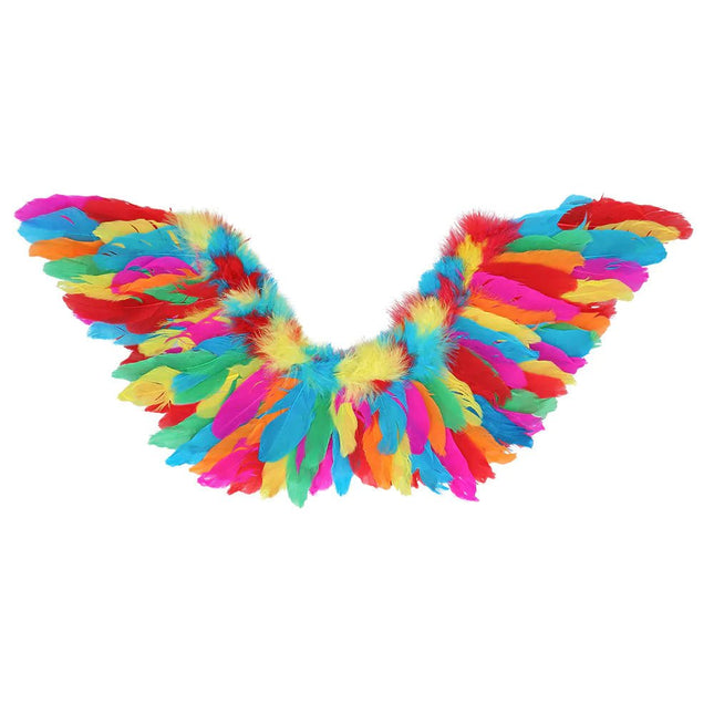 Engel Vleugels Regenboog 65cm van Boland koop je bij Partywinkel