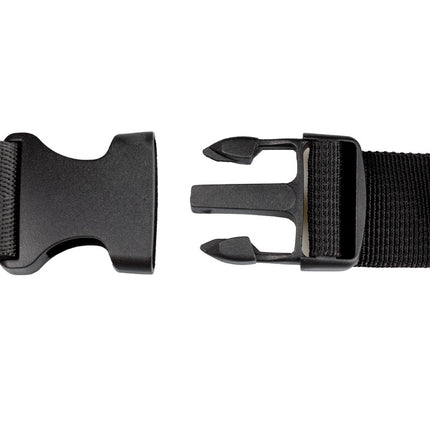 Bruine Heuptas Panter