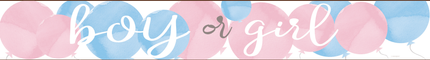Gender Reveal Banner Boy Or Girl 2,74m