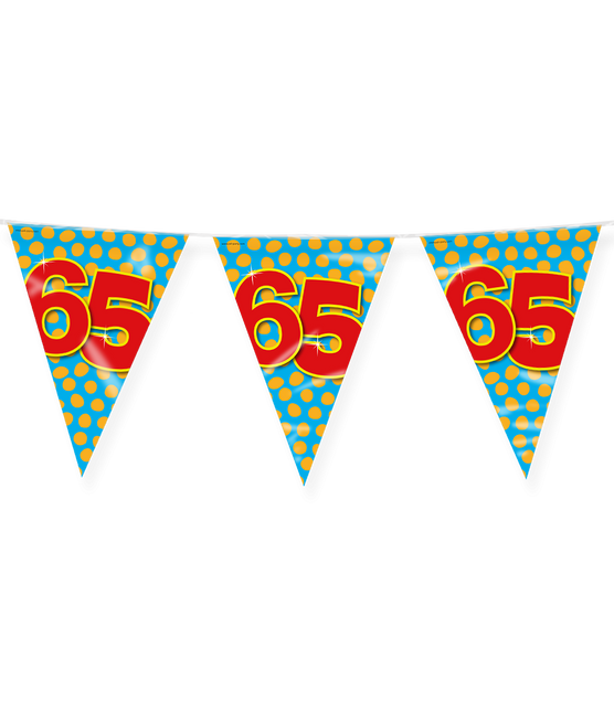 Vlaggenlijn 65 Jaar Gekleurd 10m