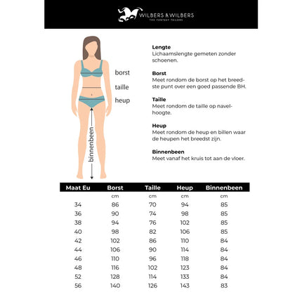 Schoolgirl Kostuum Dames