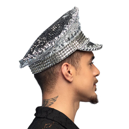 Zilveren Pet Glitters