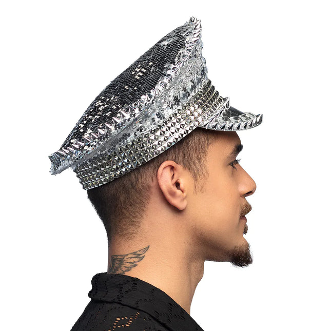 Zilveren Pet Glitters