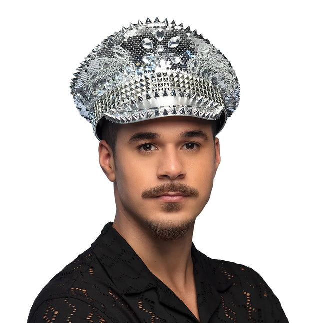 Zilveren Pet Glitters