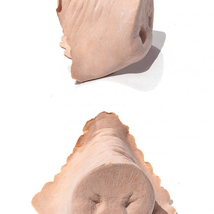 PXP Latex Varkensneus