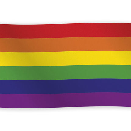 Pride Vlag 1,5m
