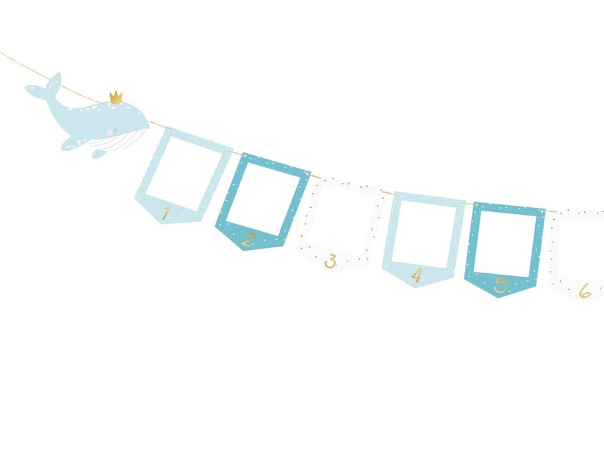 Foto Slinger Walvis 3m van Partydeco koop je bij Partywinkel
