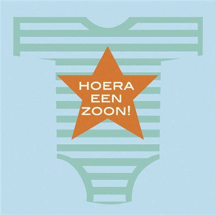 Geboorte Servetten Zoon 33cm 20st van Haza Witbaard koop je bij Partywinkel