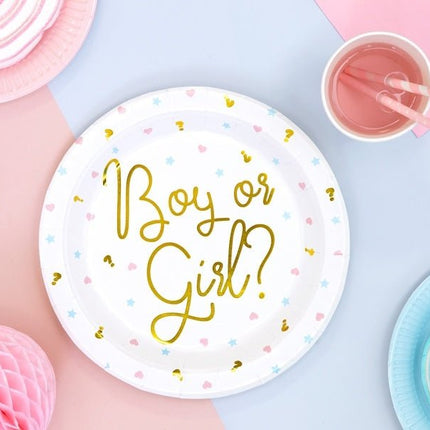 Gender Reveal Borden 23cm 6st van Partydeco koop je bij Partywinkel
