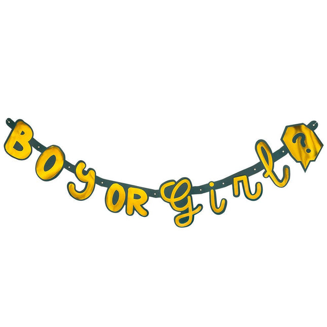 Gender Reveal Letterslinger Boy Or Girl 1,3m van Boland koop je bij Partywinkel