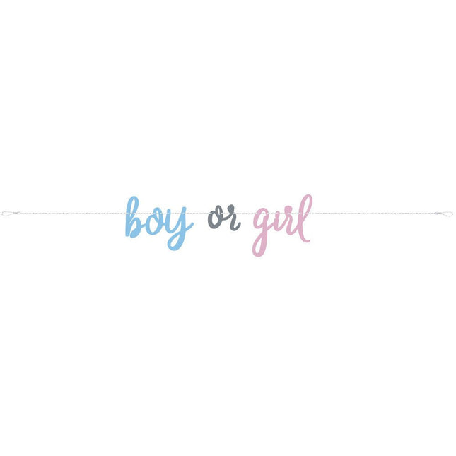Gender Reveal Slinger Boy Or Girl 2,13m van Unique koop je bij Partywinkel