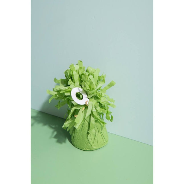 Groene Ballon Gewicht Mat 170gr van Folat koop je bij Partywinkel