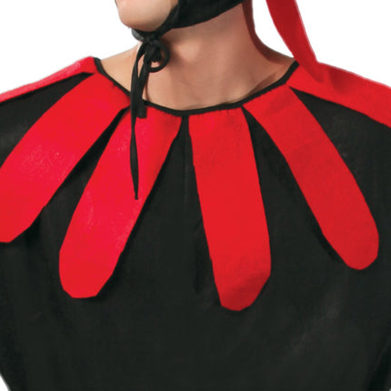 Haan Kostuum L van Fiestas Guirca koop je bij Partywinkel