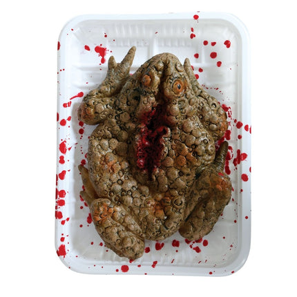 Halloween Dienblad Kikker 18cm van Fiestas Guirca koop je bij Partywinkel