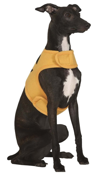 Halloween Dieren Kostuum Pompoen Mascotte van Fiestas Guirca koop je bij Partywinkel