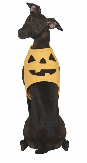 Halloween Dieren Kostuum Pompoen Mascotte van Fiestas Guirca koop je bij Partywinkel